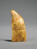Engraved Whales Tooth
