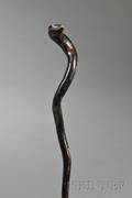 Blackpainted Root Snakeform Walking Stick