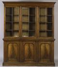 William IV Mahogany Library Cabinet