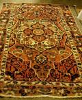 Bahktiari Rug