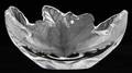 LALIQUE CHENE CLEAR  FROSTED GLASS BOWL