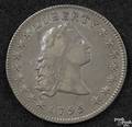 1795 US Flowing Hair silver dollar