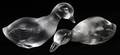 BACCARAT CRYSTAL DUCKS TWO