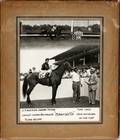 BLACK AND WHITE PHOTOS RACE HORSES ECT 1951