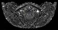 CUT GLASS BOWL C 1900