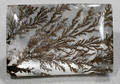 020280 UNMOUNTED QUARTZ DENDRITE