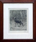 2332 ROSA BONHEUR FRAMED ENGRAVING OF DEER IN FOREST