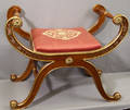 22141 REGENCY STYLE DECORATED MAHOGANY BENCH H 25 W