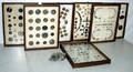 050136 VICTORIAN  AMERICAN ANTIQUE BUTTON COLLECTION