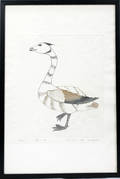 052152 KANANGINAK INUIT STONE ETCHING GOOSE