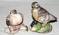 062234 BOEHM PORCELAIN ROBIN  RED FLEDGLING