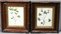 081386 WALNUT VICTORIAN SHADOW BOX FRAMES