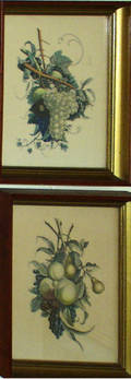 071518 VICTORIAN HANDCOLORED PRINTS FRUIT BOUGHS