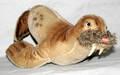 032380 STEIFF WALRUS GLASS EYES W 11 H 11
