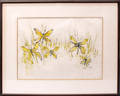 042502 MARY JANE BIGLER WATERCOLOR DRAGONFLIES