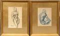 042579 RE KENDALL PEN  WATERCOLOR NUDE DRAWINGS