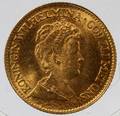 1917 NEDERLANDEN 10 GULDEN GOLD COIN