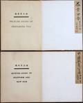 CHINESE CONCERTINA BOOKS TWO