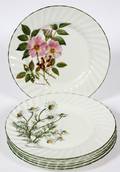 STAFFORDSHIRE ROYAL PATRICIAN BOTANICAL PLATES