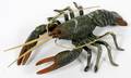 AUSTRIAN BRONZE FIGURAL LOBSTER 1 H 1 L 5