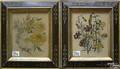 Two color floral engravings