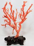 CORAL BRANCH SPECIMEN
