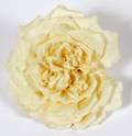 CHANEL WHITE SILK CAMELLIA BROOCH