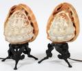 CARVED CAMEO SHELL BOUDOIR LAMPS TWO