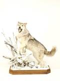 Full Size Northern Timber Wolf Taxidermy Mount