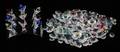 SWAROVSKI CRYSTAL FLOWERS  LOOSE CRYSTALS
