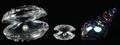 SWAROVSKI CRYSTAL SHELLS THREE PIECES
