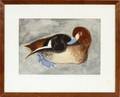 CHARLES CULVER WATERCOLOR DUCK