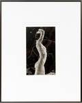 RUTH BERNHARD PHOTOGRAPH LATER PRINTING OF NEGATIVE