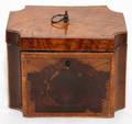 ENGLISH WALNUT TEA CADDY C 1820 H 4 12