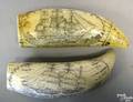 Two contemporary scrimshaw whales teeth