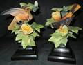 DOROTHY DOUGHTY ROYAL WORCESTER ORIOLES PAIR