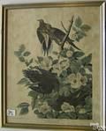Two Audubon prints by Harry Newman
