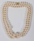 90mm dia Fresh Water Pearl Necklace Gold Clasp