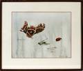 RICHARD JERZY WATERCOLOR CECROPIA MOTH
