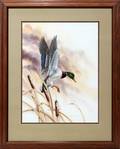 DIETMAR KRUMREY WATERCOLOR DUCK IN FLIGHT