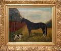 W ARMSTRONG OIL ON CANVAS 19THC A STALLION