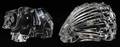 BACCARAT CRYSTAL PORCUPINE  BEAR