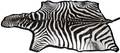 AFRICAN SOUTHERN ZEBRA SKIN RUG 21ST C