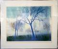 HARRY GLASSGOLDCOLOR LITHOGRAPH 1972 SUN  RAIN