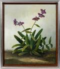 FRED PAPSDORF OIL ON CANVAS EPRIDENDRUM