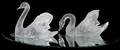LALIQUE FROSTED GLASS MIROIR CYGNES PAIR