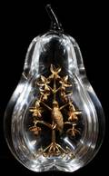 051084 STEUBEN GLASS PARTRIDGE IN A PEAR TREE