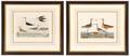 Two Alexander Wilson American Ornithology Prints