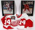 DETROIT RED WING PARTIAL AUTOGRAPHED MEMORABILIA
