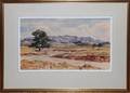 ANTON RIEBE WATERCOLOR 1975 ENORAMA COUNTRY